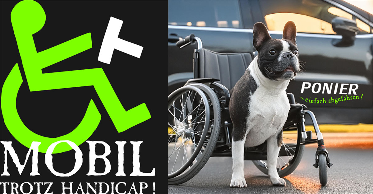 mobil_trotz_handicap_bildmarke